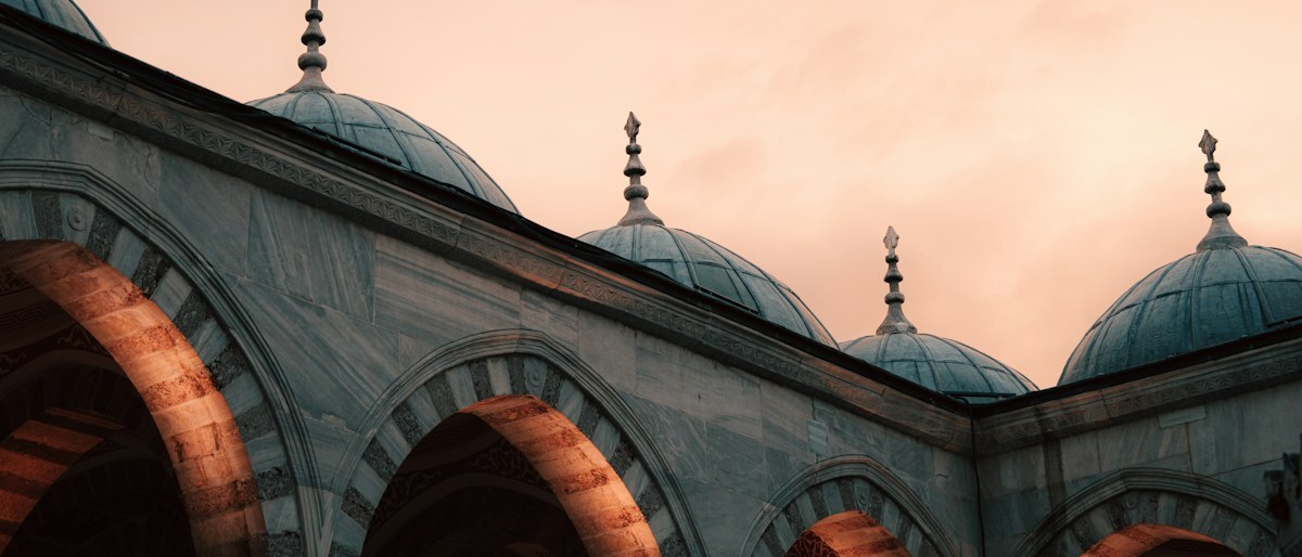 Mosque domes against a soft pink evening sky